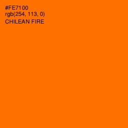 #FE7100 - Chilean Fire Color Image